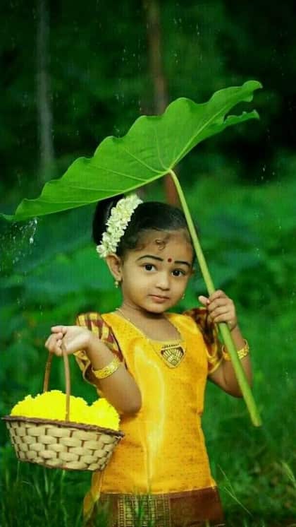 ఆస్తి హక్కు
