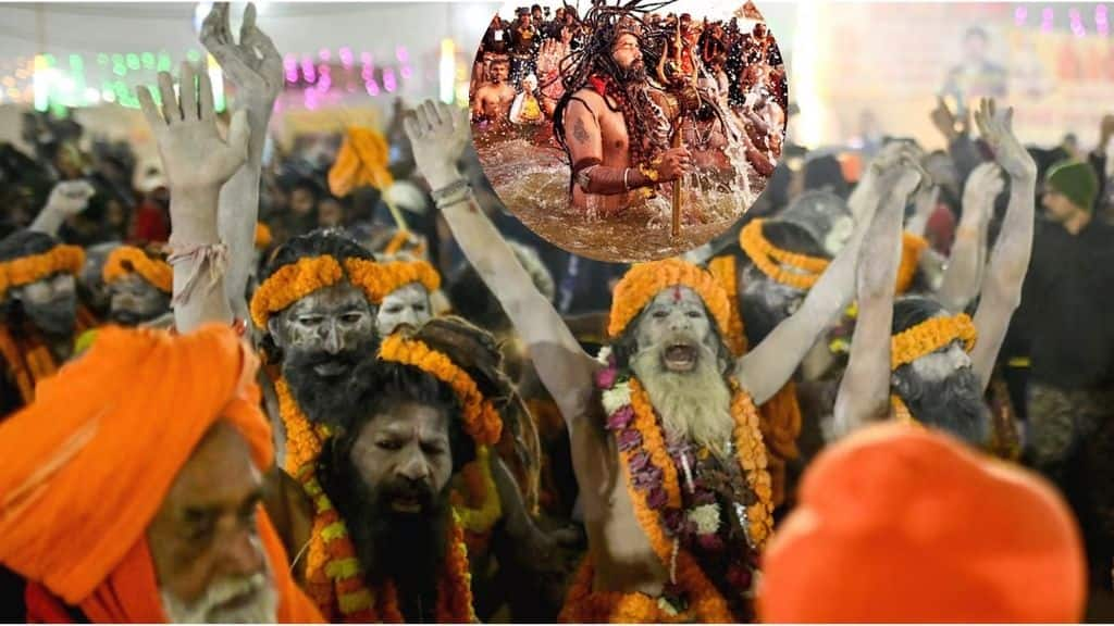 How many types of Sadhu in Maha Kumbh and what are their rules