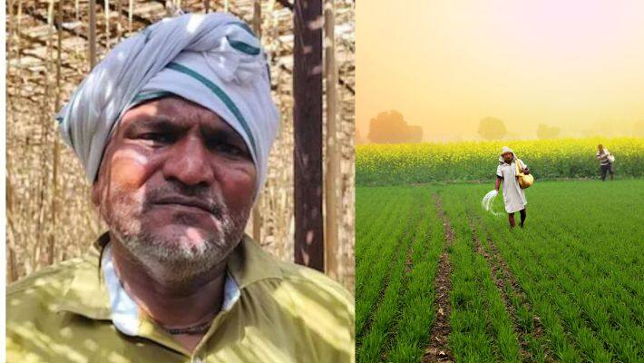 farmer