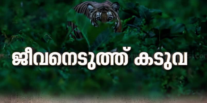 Kerala news in Malayalam live updates