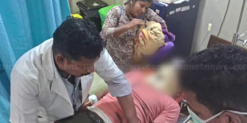 Walayar Elephant attack farmer injured 