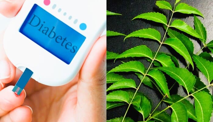 benefits of neem leaves to control diabetes in tamil mks