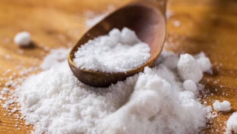 salt gupt daan benefits