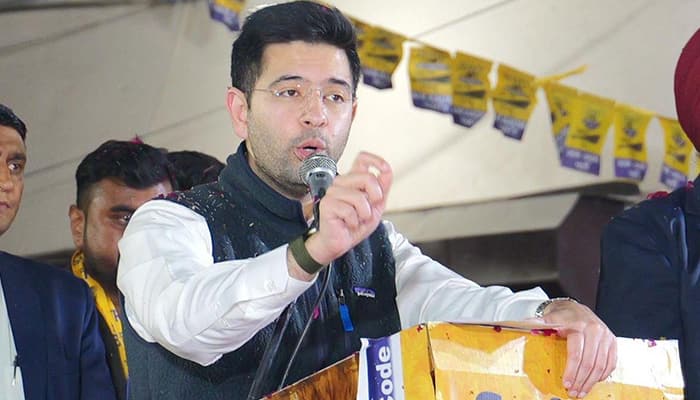 Delhi Elections 2025: AAP's Raghav Chadha alleges security personnel block relievers at polling booths vkp