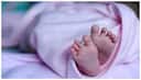 Bengaluru: Couple abandons 15-day-old baby with cleft lip in autorickshaw, police arrest father