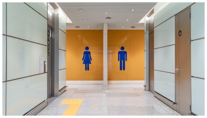Woman Charged 805 Rs for Restroom Use Near  Temple