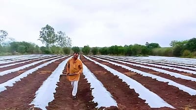 MP के किसान का कमाल: 3 एकड़ खेती से बनाया अपना ब्रांड, सालाना कमाई ₹20 लाख