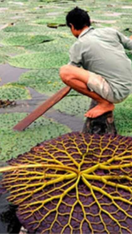 తక్కువ ఖర్చు, మంచి లాభాలు