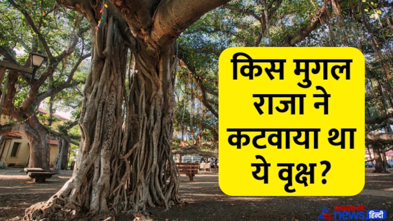 prayagraj akshayvat story