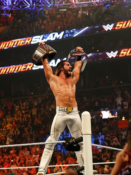 Seth Rollins earnings