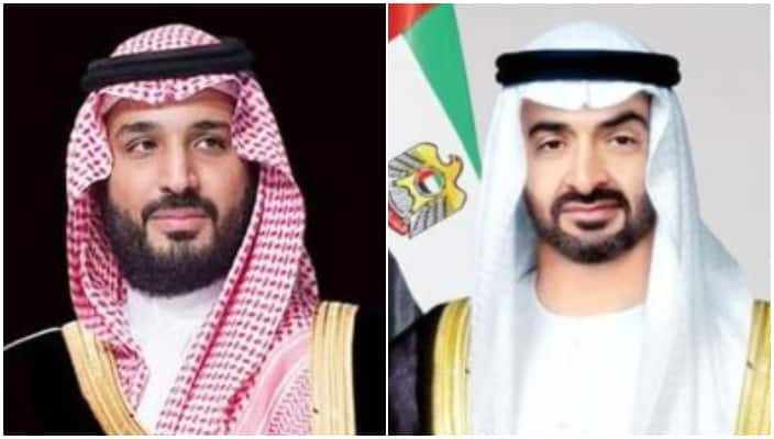 Bilateral Cooperation: UAE President and Saudi Crown Prince held talks