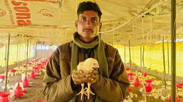 8th-pass-youth-success-poultry-farming-earning-6-lakh-monthly