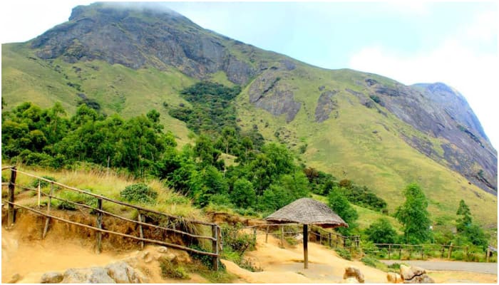 Summer trip Places To Visit In Munnar All you need to know