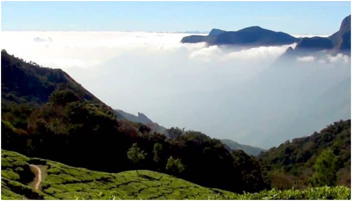 Summer trip Places To Visit In Munnar All you need to know