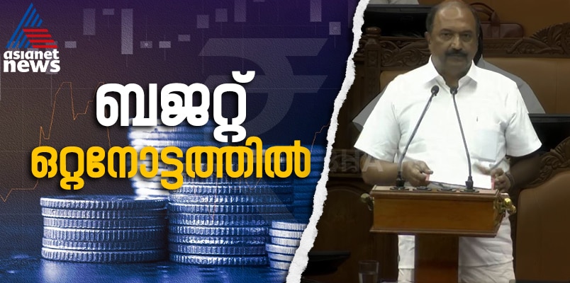 KERALA BUDGET 2025 keypoints and highlights 
