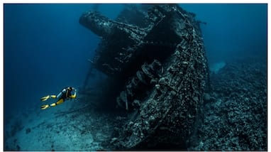 8620 ships were sunk on the Portuguese coast in four centuries 250 of which were gold and silver 8620 ships were sunk on the Portuguese coast in four centuries 250 of which were gold and silver