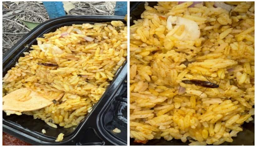 Aero Show 2025: Cockroach found in meal at air show in Bengaluru; pictures go viral