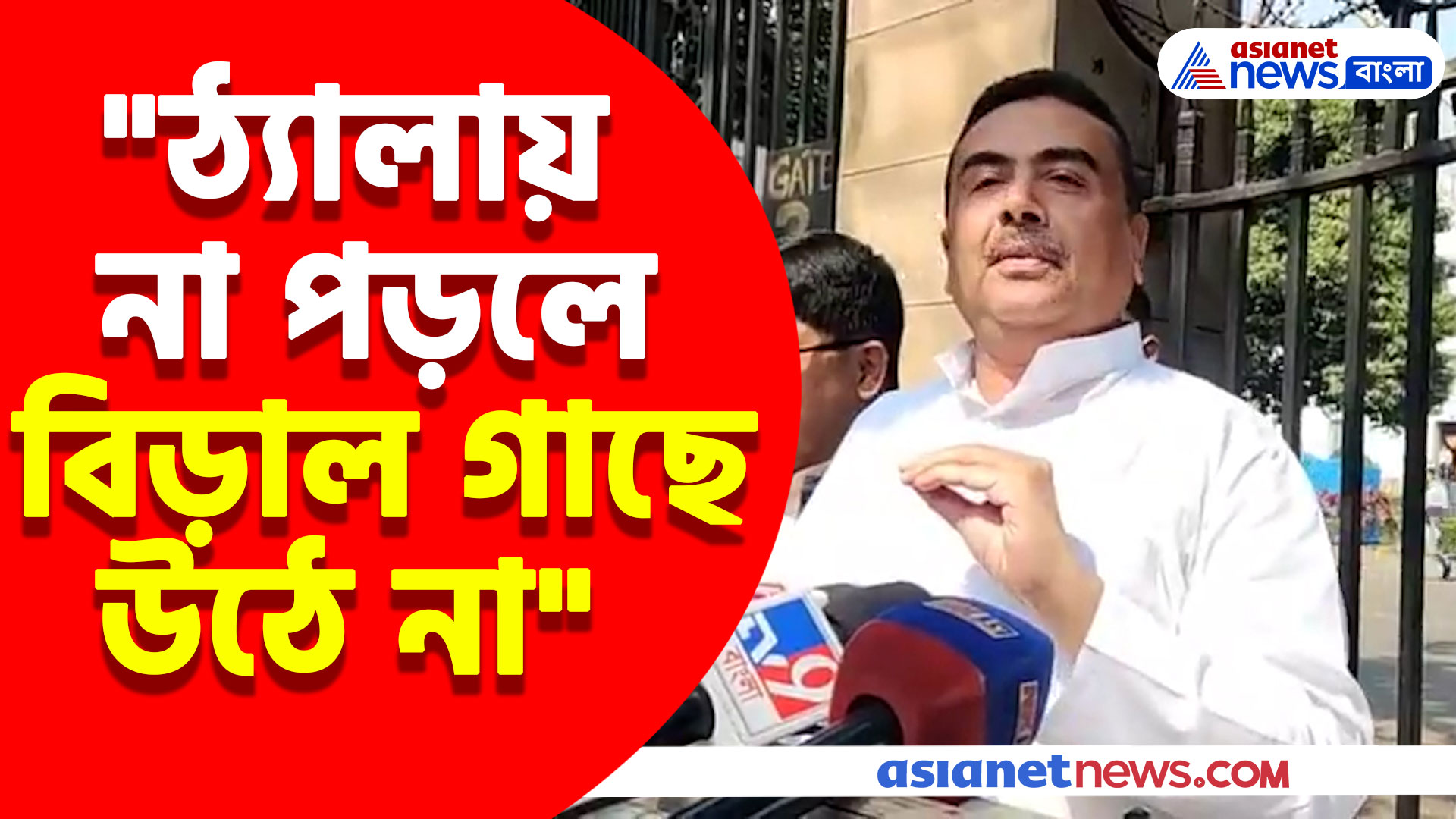 "ঠ্যালায় না পড়লে বিড়াল গাছে ওঠে না" তৃণমূলকে কেন এমন বললেন শুভেন্দু