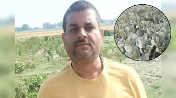 How Pradeep Kumar Dwivedi left corporate life to start a quinoa farming business iwh