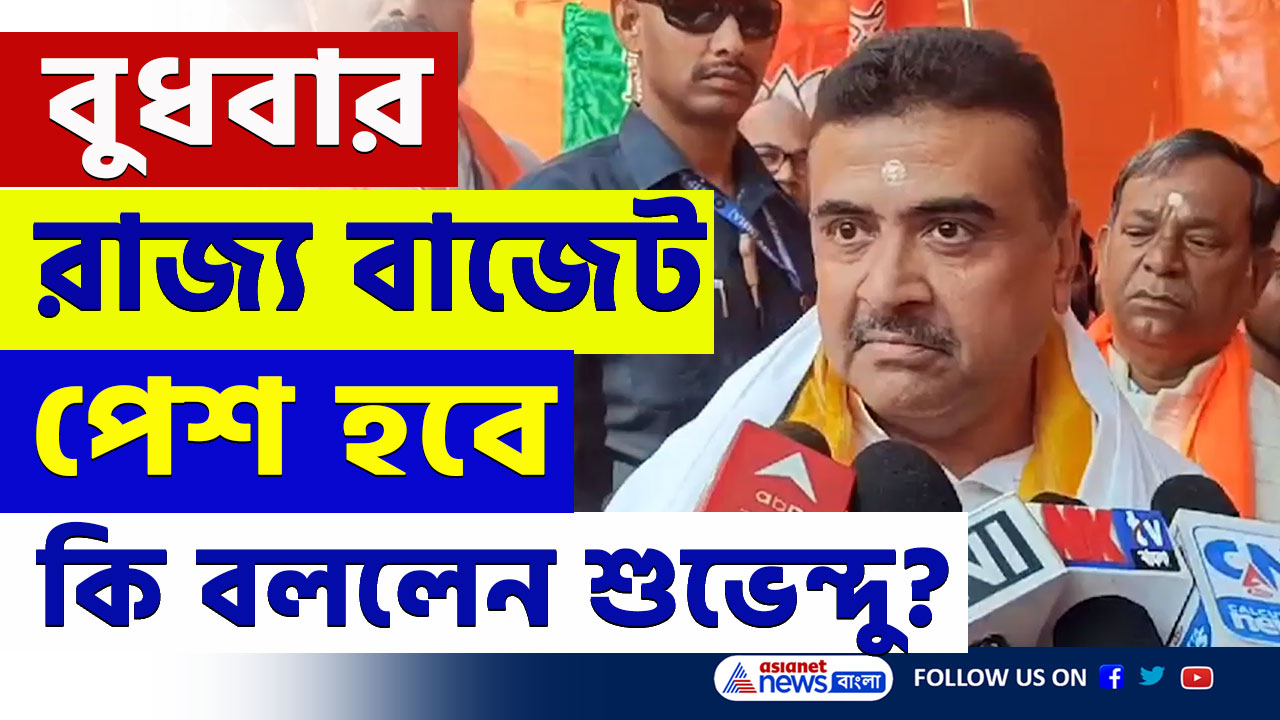 WB Budget 2025 : বুধবার মমতার বাজেট কেমন হবে ফাঁস করলেন শুভেন্দু, দেখুন