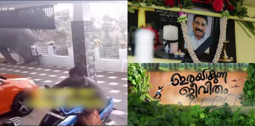 Kerala: Govt fails to support wildlife attack victims' families; promises left unfulfilled