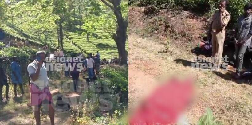 Kerala: Man killed in wild elephant attack in Wayanad, seventh death in 40 days