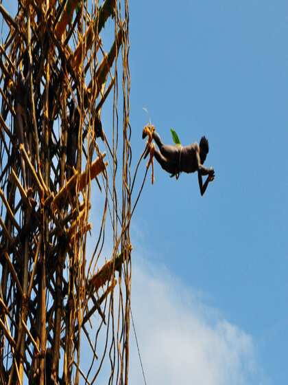 Land Diving