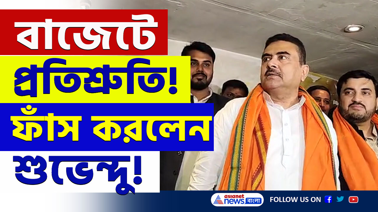 WB Budget 2025 : মমতার বাজেট নিয়ে বড় চ্যালেঞ্জ শুভেন্দুর! ফাঁস করলেন অনেক তথ্য