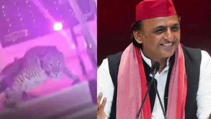akhilesh yadav