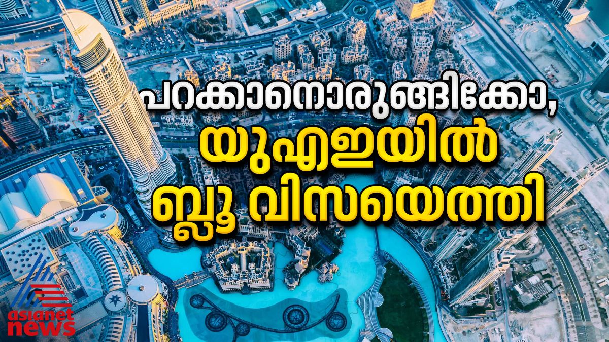 യുഎഇ ദീര്ഘകാല താമസാനുമതിയായ ബ്ലൂ റസിഡൻസി വിസ പ്രാബല്യത്തില്