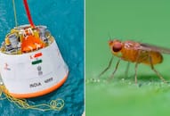Tiny heroes of Space: Why India is sending fruit flies to the final frontier