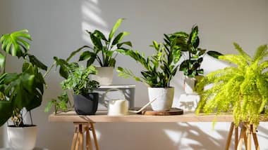 article_image1
