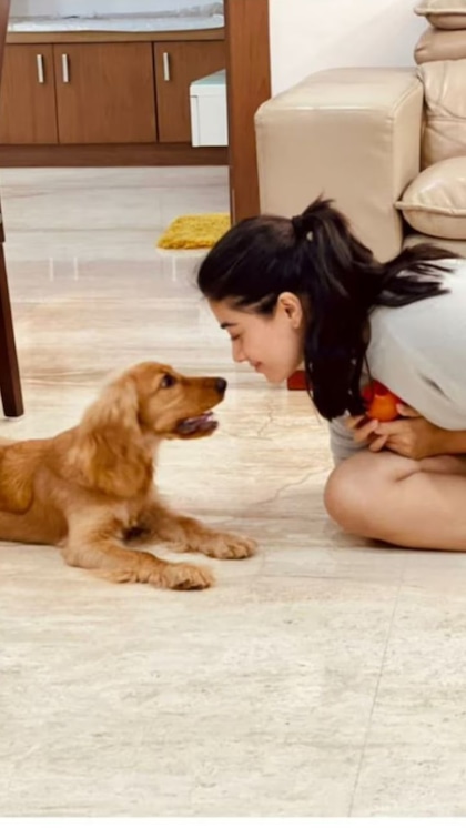Rashmika Mandanna Birthday: Unveiling her wealth & luxurious life