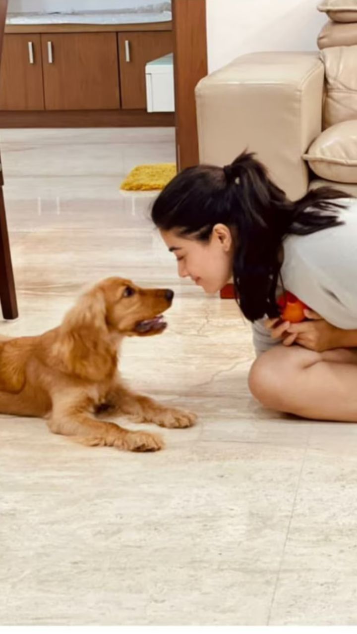 Rashmika Mandanna Birthday: Unveiling her wealth & luxurious life