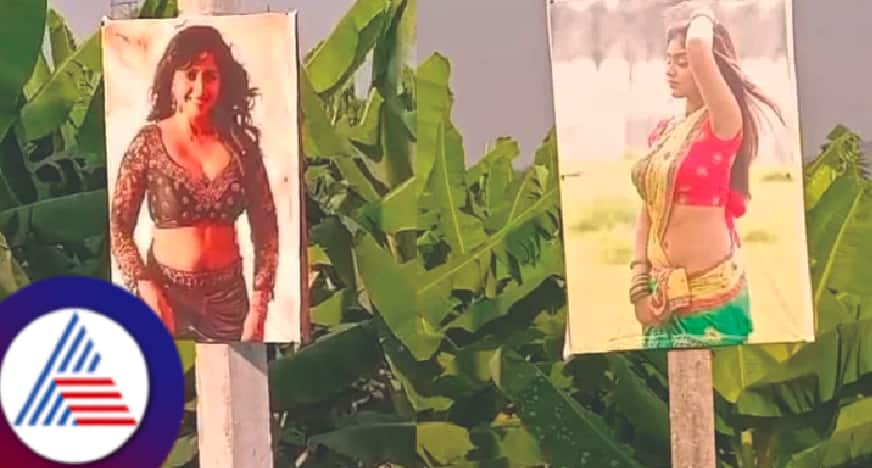 A farmer from Mysore used models photo around his farm viral news  rav