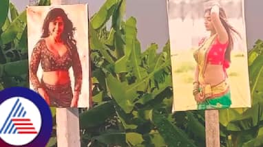 A farmer from Mysore used models photo around his farm viral news rav A farmer from Mysore used models photo around his farm viral news rav