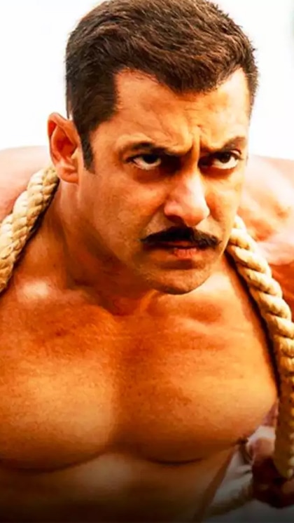 10. సుల్తాన్ (2016)