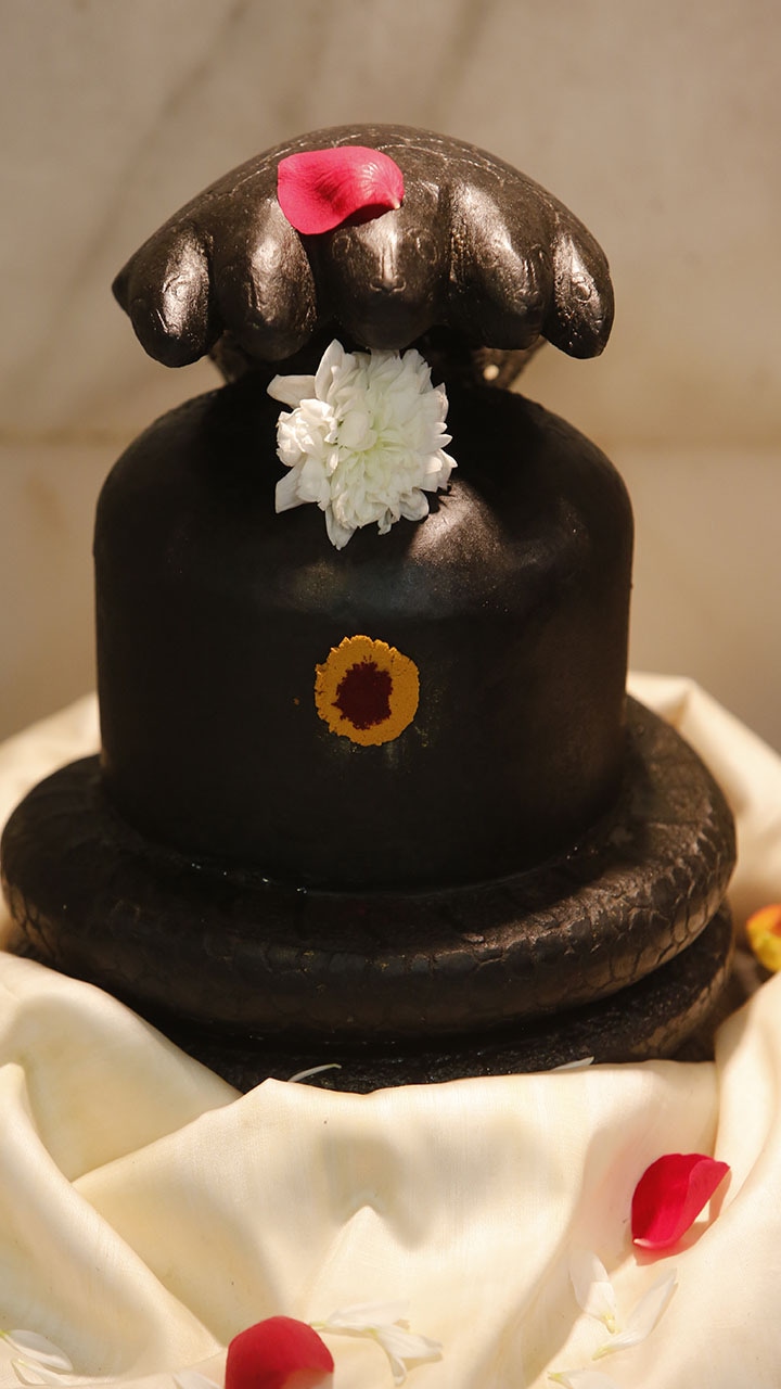 Mahashivratri 2025: Ideal shivling size for home worship; Check HERE ATG