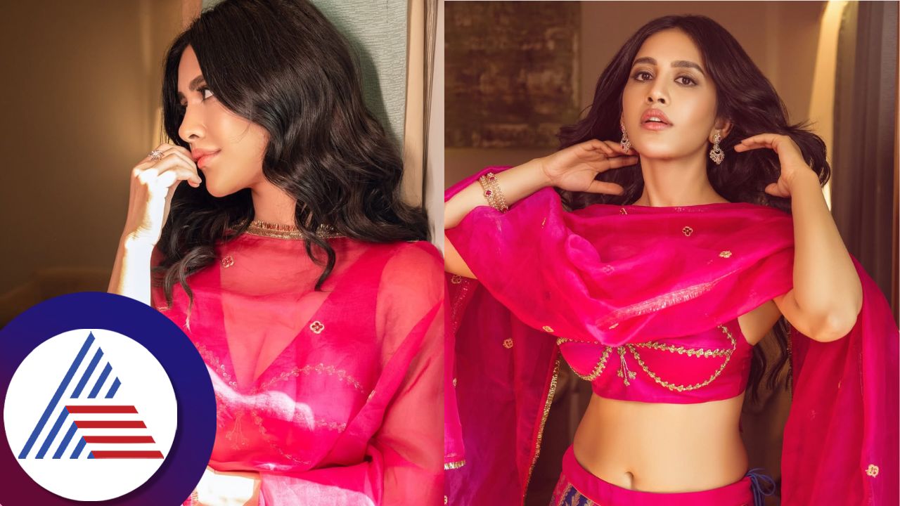 Nabha Natesh