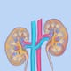 hidden signs of kidney stones 