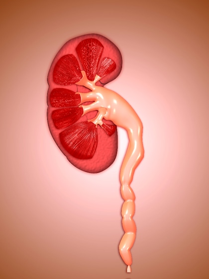 Kidney Health: కిడ్నీ సమస్య ఉన్నవారు తినకూడని 7 ఆహారాలు ఇవే