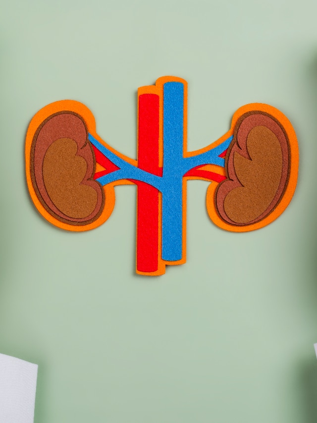 world kidney day 2025 tips to protect your kidneys 