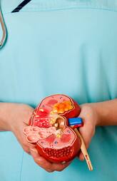 Kidney Stone Formation Causes and Prevention Tips vel