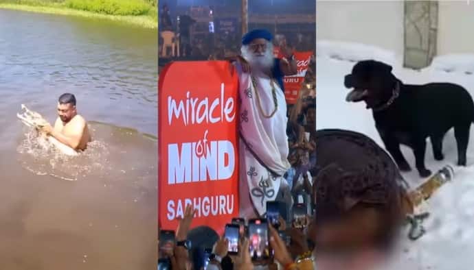 Memes of the Day: From Sadhguru's meditation app to jaw-dropping escapes, here's what took over the internet