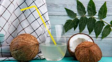 Coconut Water Side Effects Who Should Avoid It in telugu ram Coconut Water Side Effects Who Should Avoid It in telugu ram