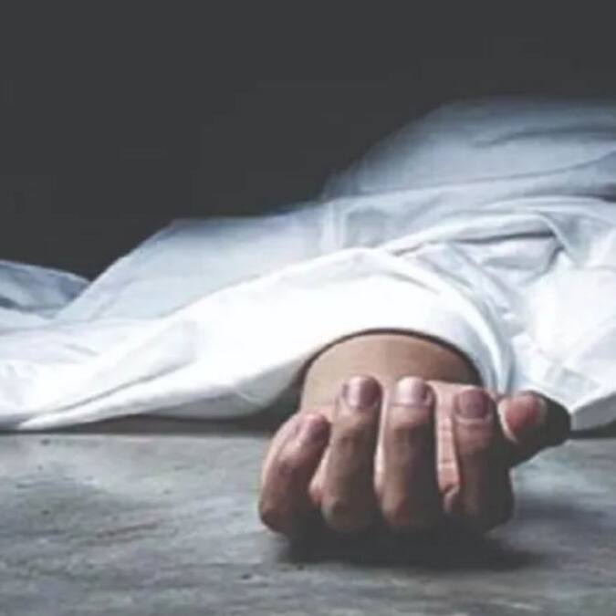 Madhya Pradesh: 6 dead, 11 injured after mysterious animal attack in Barwani