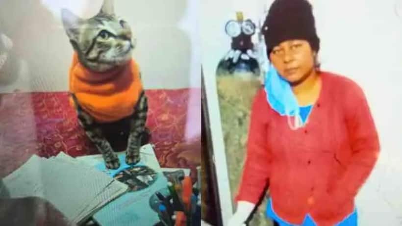 UP SHOCKER! Woman lives with dead pet cat for 3 days hoping it would return to life, then she hangs self
