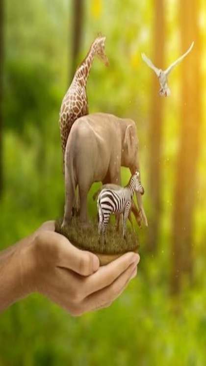 <p>World Wildlife Day 2025: विश्व वन्यजीव दिवस 2025 की थीम, हिस्ट्री और महत्व के बारे में जानें। वन्यजीवों और पर्यावरण प्रोटेक्शन की जरूरत पर जागरूकता के लिए यह क्यों मनाया जाता है?</p>
