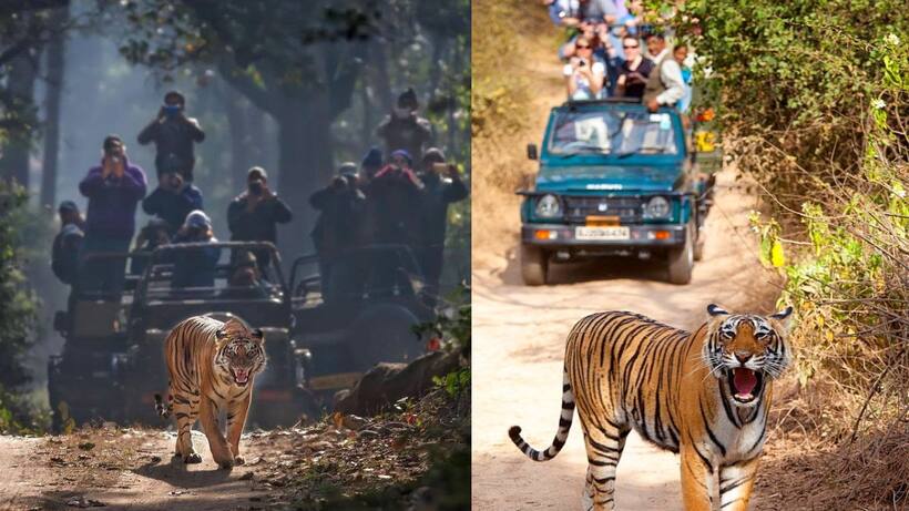 national parks in india 