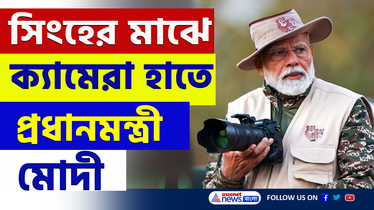 PM Modi : ক্যামেরা হাতে গুজরাটের গির-এ সিংহের মাঝে প্রধানমন্ত্রী মোদী